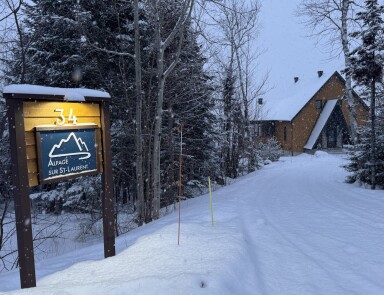 Canada, À L'extérieur, Abri, Arbre, Sapin, Hôtel, Logement