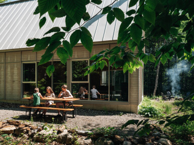 Nature,, Shelter, Wood, Person, Desk, Vegetation, Housing