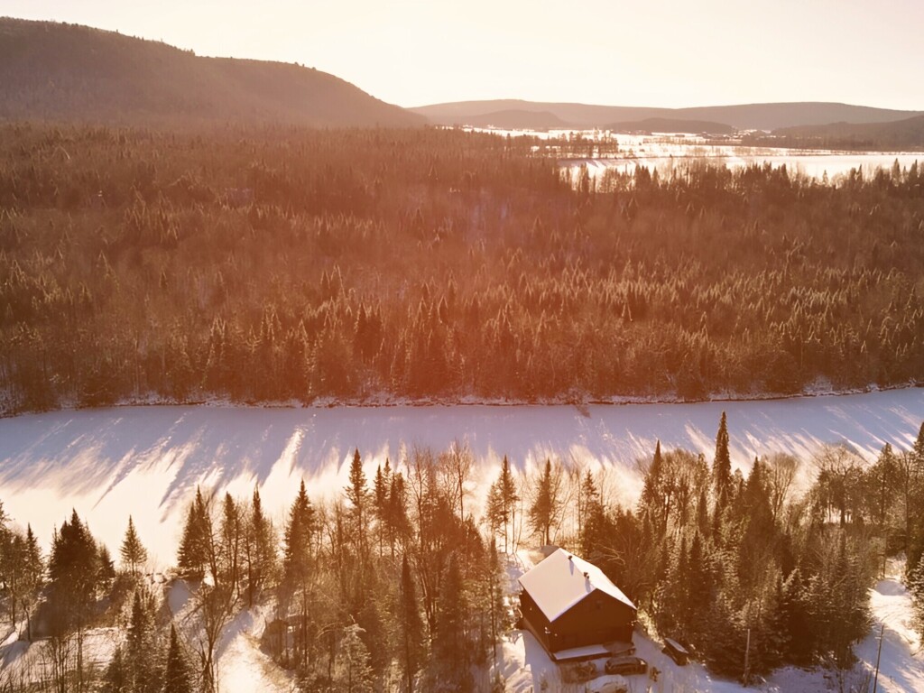 Nature,, Tree, Fir, Building, Shelter, Scenery, Vegetation