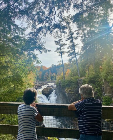 Nature, Végétation, Photographie, Portrait, Arbre, Forêt, Rocher