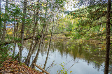 Canada, Terre, Nature, Plein Air, Paysages, Végétation, Eau