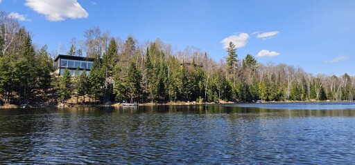Nature, Nature, Plein Air, Paysage, Paysage, Sapin, Bord De Lac