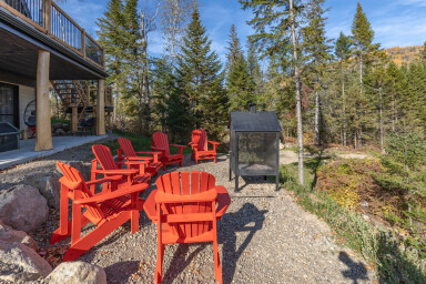 Nature, Arbre, Sapin, Paysage, Abri, Gravier, Chaise