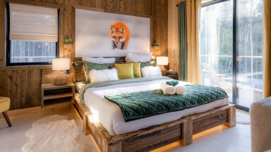 Québec, Indoors, Interior Design, Home Decor, Wood Panels, Bed, Dog