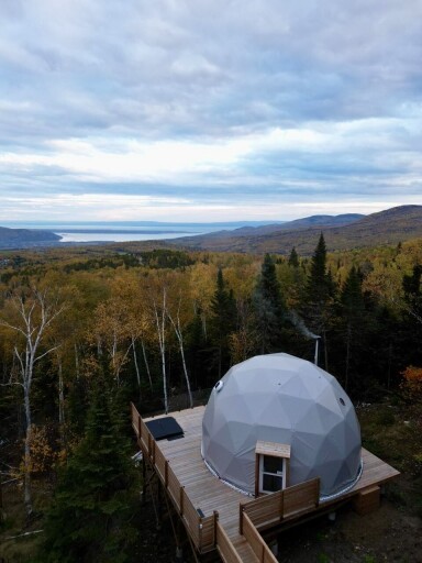 Canada, Plante, Végétation, Extérieur, Nature