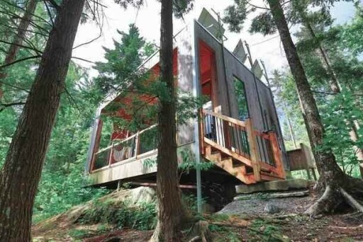 Nature, Logement, Maison, Cabane, Végétation, Cabane Dans Les Arbres, Arbre