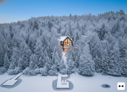 Nature, Arbre, Sapin, Logement, Maison, Abri, Végétation