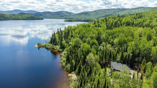 Nature,, Tree, Nature, Outdoors, Scenery, Vegetation, Lake