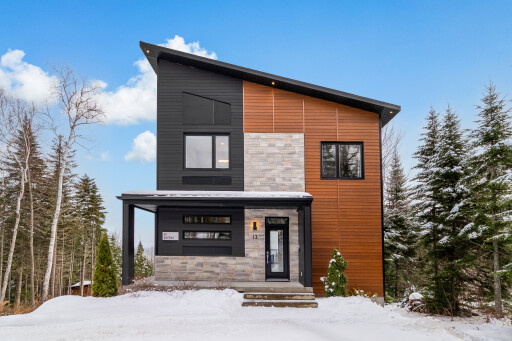 Nature, Arbre, Abri, Sapin, Pin, Logement, Conifère