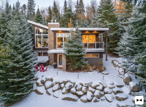 Nature, Plante, Arbre, Sapin, Pin, Conifère, Épicéa