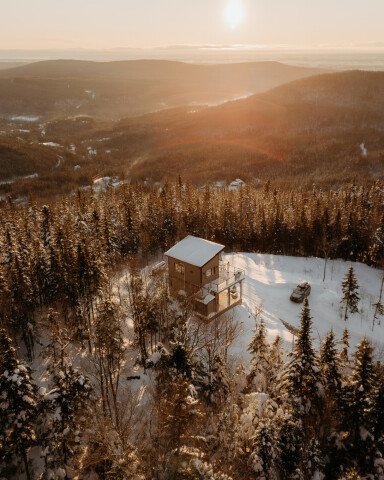 Québec, Tree, Fir, Outdoors, Shelter, Hut, Nature