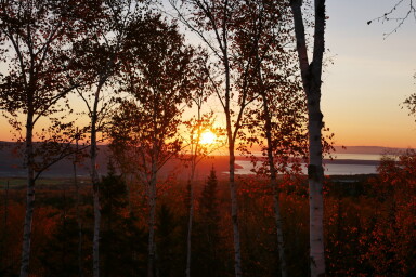 Chalet, Nature, Ciel, Coucher De Soleil, Arbre, Lumière Du Soleil, Lever De Soleil