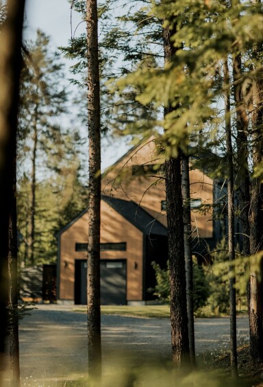 Nature,, Shelter, Tree, Hut, Nature, Housing, Tree Trunk