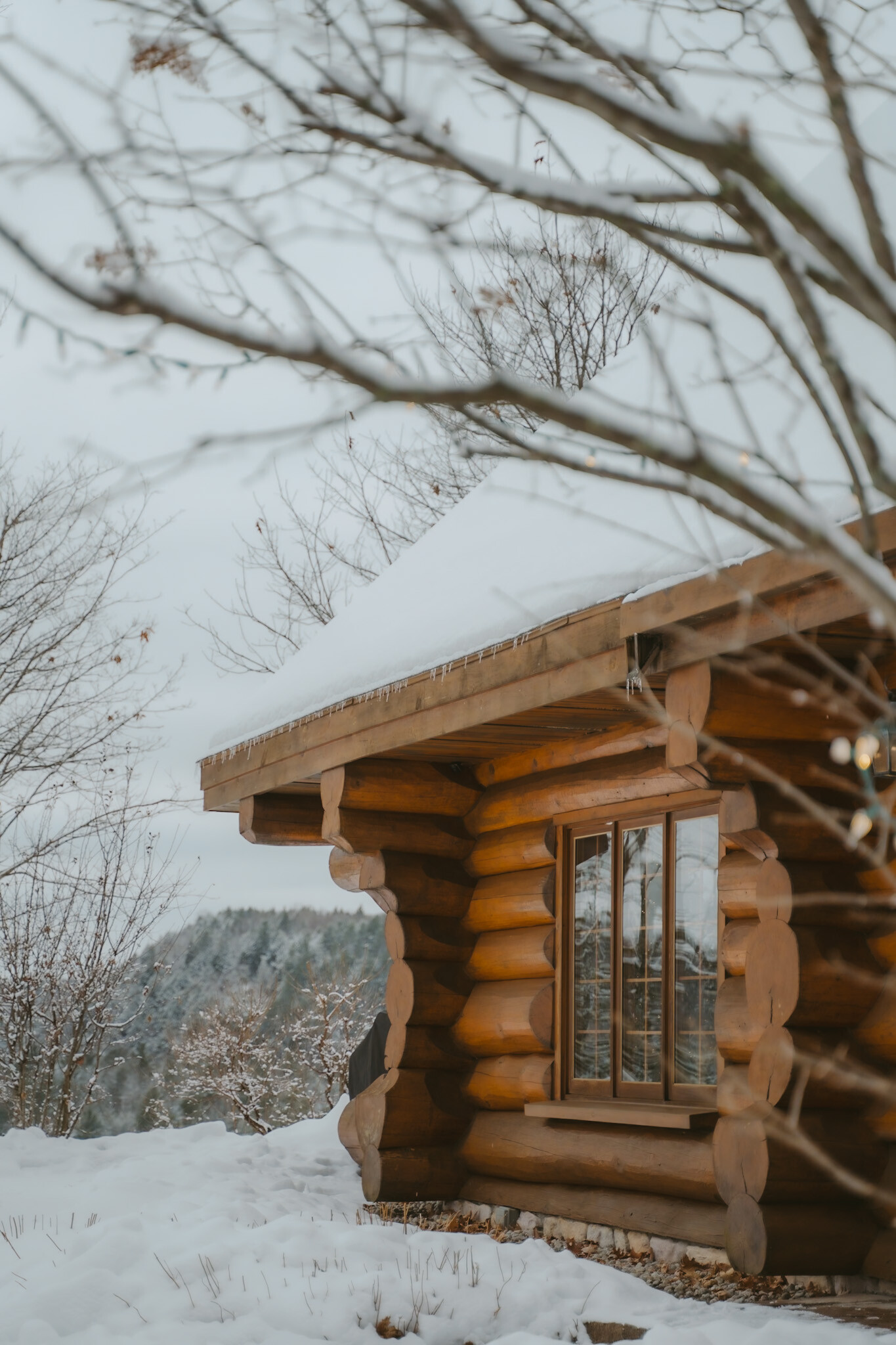 Façade bois rond Le Montagnard