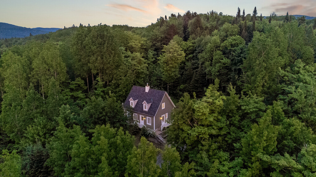 Nature, Arbre, Bâtiment, Sapin, Végétation, Bois, Paysage