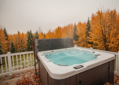 Québec, Baignoire, Bain À Remous, Plante, Arbre