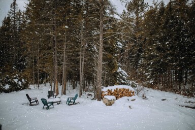 Canada, Nature, Outdoors, Bench, Tree, Woodland, Chair