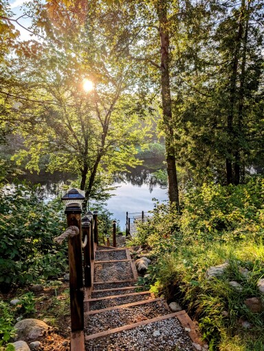 Québec, Nature, Scenery, Path, Vegetation, Tree, Flare