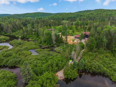 Canada, Arbre, Sapin, Végétation, Terrain, Extérieur, Bois