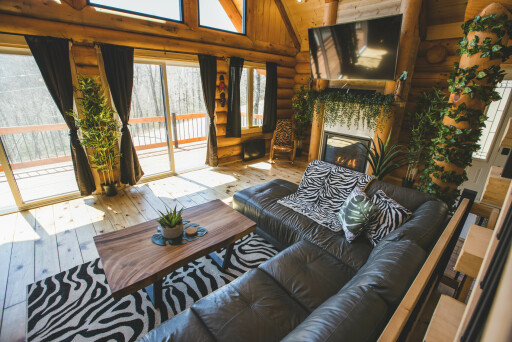 Nature, Design D'intérieur, Bois, Salon, Décoration D'intérieur, Chaise, Plante