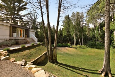 Québec, Arbre, Herbe, Tronc D'arbre, Jardin, Centre De Villégiature, Sapin