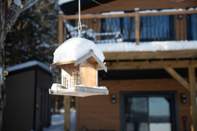 Cottage, Wood, Bird Feeder