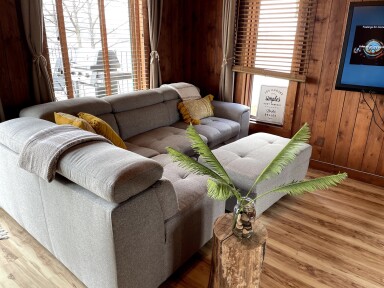 Chalet, Design D'intérieur, Canapé, Meubles, Bois Franc, Bois, Salon