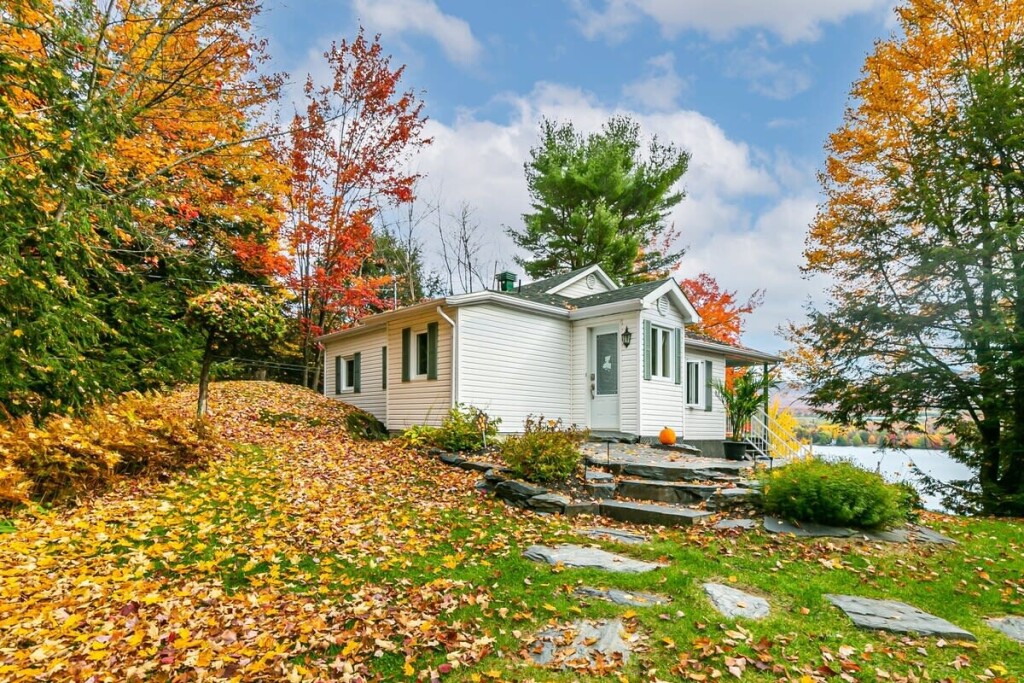 Nature,, Autumn, Lamp, Plant
