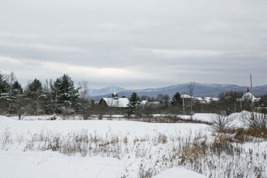 Cottage, Fir, Plant, Tree, Nature, Outdoors, Scenery