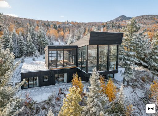 Nature, Arbre, Sapin, Conifère, Abri, Paysage, Logement