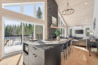 Chalet, Design D'intérieur, Salon, Bois, Plante, Moniteur, Sol