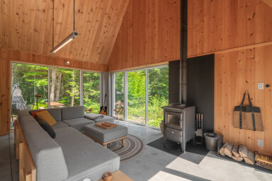 Chalet, Intérieur, Design D'intérieur, Salon, Sac À Main, Bois, Canapé