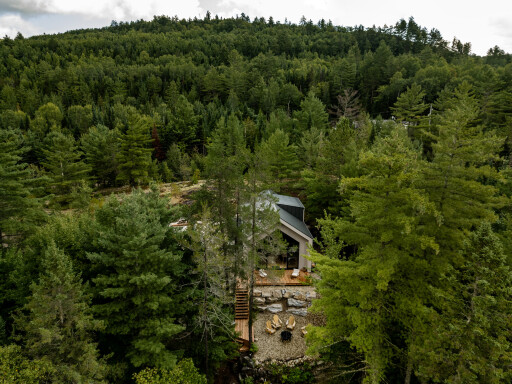 Nature, Arbre, Sapin, Conifère, Végétation, Pin, Bâtiment
