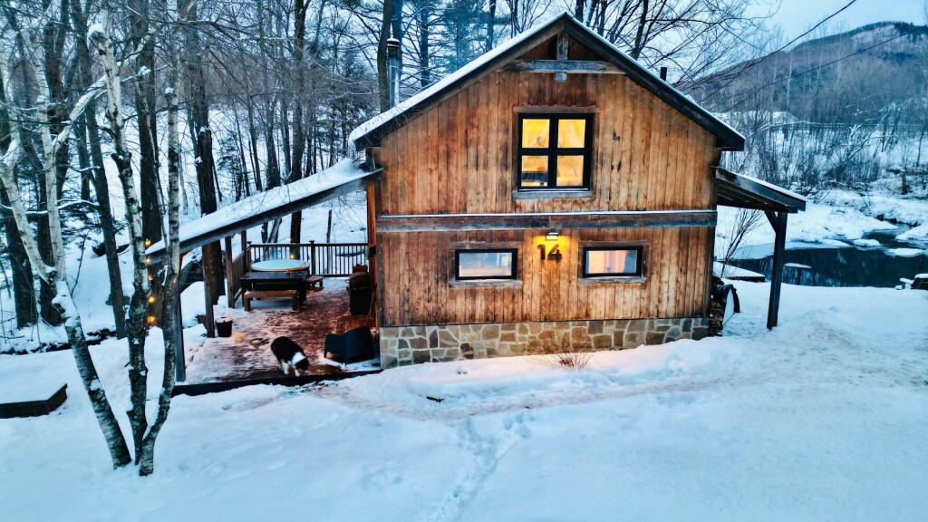 Nature, Bâtiment, Logement, Maison, Cabane, Chat, Cabane Dans Les Bois