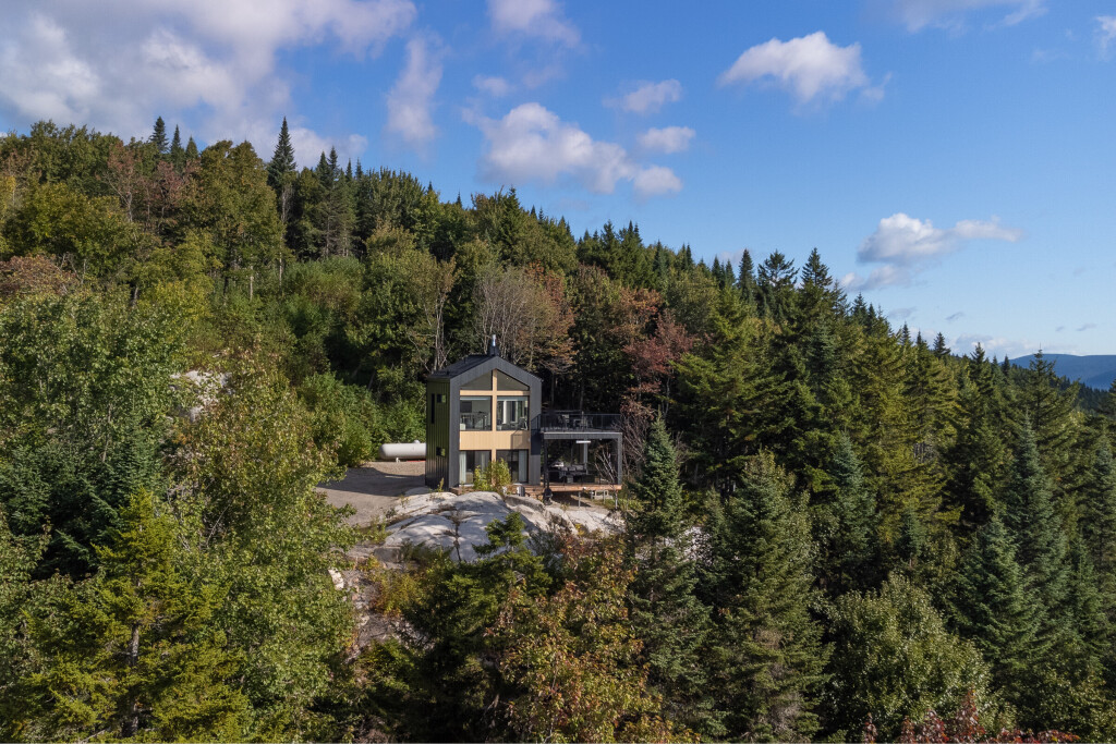 Nature,, Fir, Tree, Conifer, Spruce, Scenery, Person