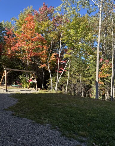 Chalet, Arbre, Végétation, Bosquet, Terrain, Herbe, Parc