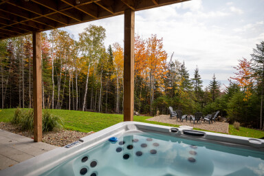 Québec, Baignoire, Bain À Remous, Plante, Arbre