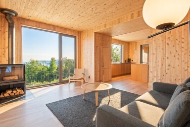 Nature,, Indoors, Interior Design, Home Decor, Rug, Wood Panels, Couch