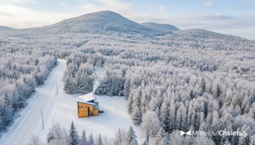 Nature,, Tree, Fir, Hut, Nature, Outdoors, Shelter