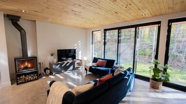 Chalet, Intérieur, Design D'intérieur, Décoration D'intérieur, Cheminée, Canapé, Plante