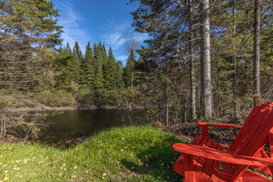 Nature, Arbre, Sapin, Paysage, Végétation, Chaise, Conifère
