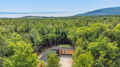 Nature,, Tree, Vegetation, Outdoors, Woodland, Fir, Scenery