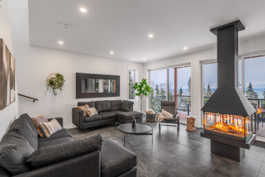 Canada, Salon, Décoration D'intérieur, Cheminée, Design D'intérieur, Plante, Canapé