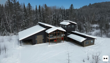 Québec, Outdoors, Shelter, Hut, Tree, Fir, Housing