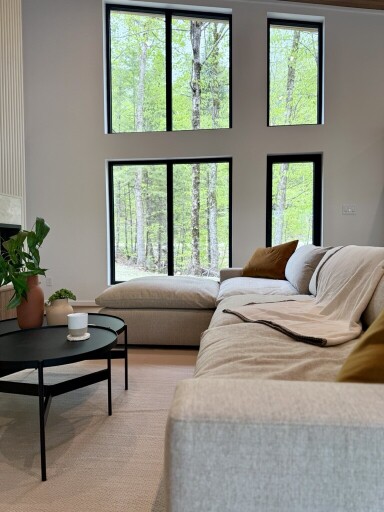 Nature,, Interior Design, Home Decor, Plant, Coffee Table, Table, Window