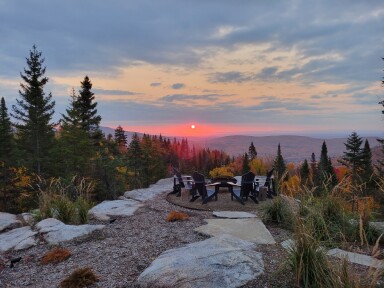 Québec, Arbre, Sapin, Ciel, Paysage, Conifère, Chaise