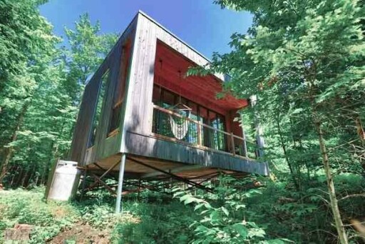 Nature, Bâtiment, Logement, Maison, Cabine, Plante, Végétation