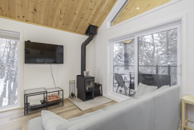 Nature, Intérieur, Design D'intérieur, Salon, Canapé, Panneaux De Bois, Chaise