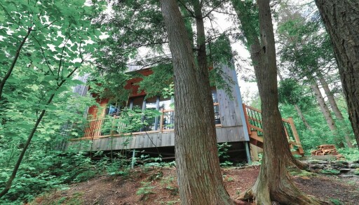Nature, Architecture, Bâtiment, Logement, Maison, Cabane, Cabane Dans Les Bois