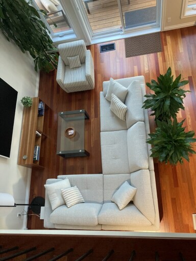 Nature,, Interior Design, Furniture, Living Room, Couch, Home Decor, Plant